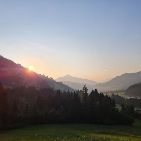 Ferienwohnung Zauberwinkelweg Mit Traum-Aussicht! ヴィルトシェーナウ エクステリア 写真