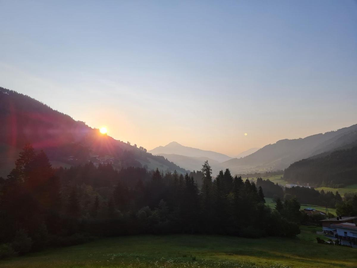 Ferienwohnung Zauberwinkelweg Mit Traum-Aussicht! ヴィルトシェーナウ エクステリア 写真