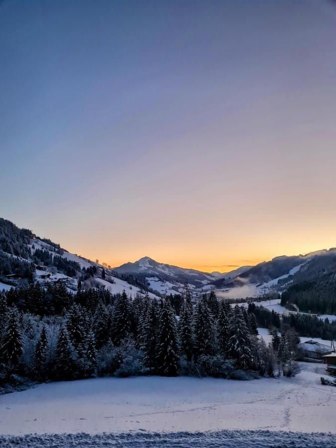 Ferienwohnung Zauberwinkelweg Mit Traum-Aussicht! ヴィルトシェーナウ エクステリア 写真