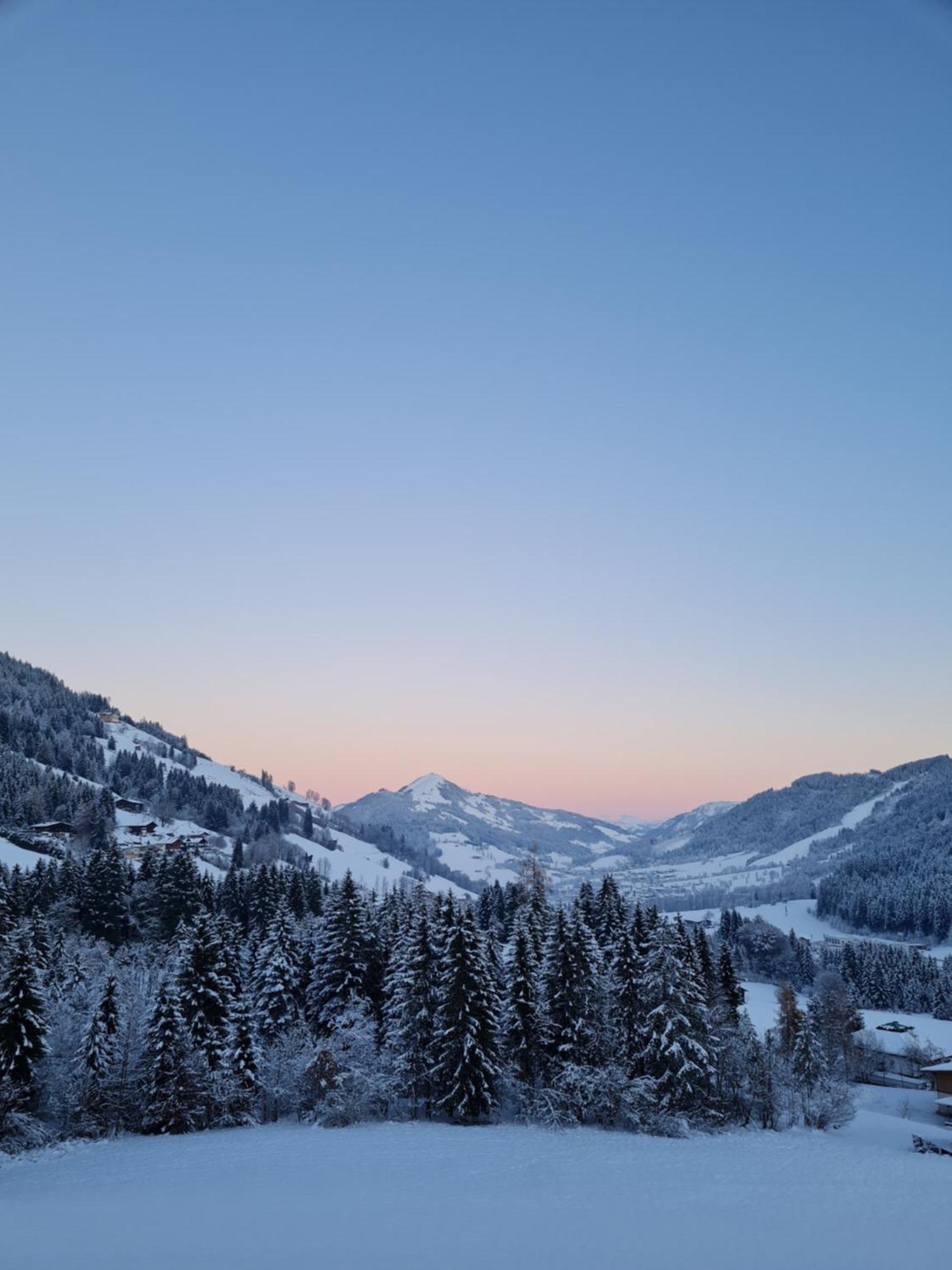 Ferienwohnung Zauberwinkelweg Mit Traum-Aussicht! ヴィルトシェーナウ エクステリア 写真